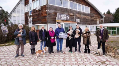 Tepebaşı Belediyesi'nin Doğal Yaşam Merkezi'nde 57 Sokak Hayvanı Sevgi Dolu Yuvalara Kavuştu!