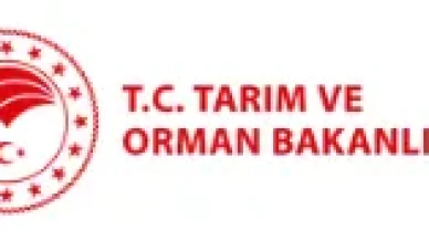 Tarım Bakanlığı Açıkladı: Gıda Taklit ve Tağşiş Skandalları Ortaya Çıktı!