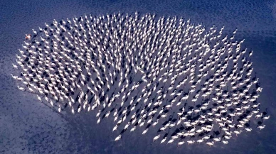 Eskişehirli Fotoğraf Sanatçısı Gümüş Madalya Kazandı