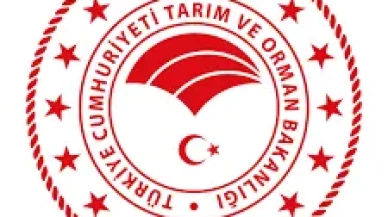 Eskişehir’de Ortaöğretim Öğrencilerine Staj Fırsatı! Başvurular Başlıyor