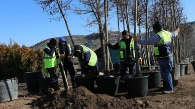 Eskişehir’de 88 Bin 906 Yeni Bitki ile Yeşil Alan Artırılacak