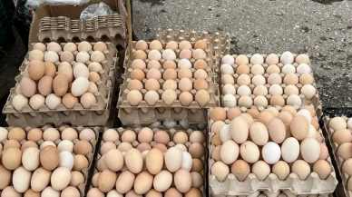 Eskişehir'de pazar alışverişine gidenler gözlerine inanamadı
