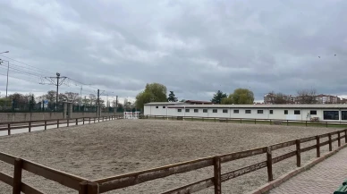 Kentpark’taki at çiftliğine soğuk havalar nedeniyle ilgi azaldı
