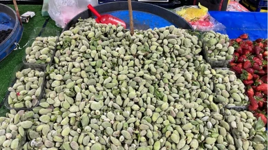 Çağla pazara indi ama fiyatı dudak uçuklatıyor