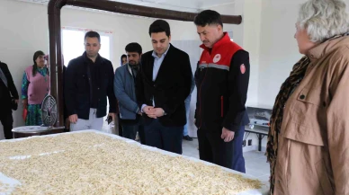 Eskişehir'in Gökçekuyu Mahallesi Türkiye’ye ilham veren bir modele dönüşüyor