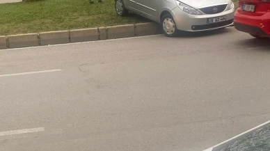 Park Halindeki Otomobil Geri Geri Giderek Reflüje Çıktı