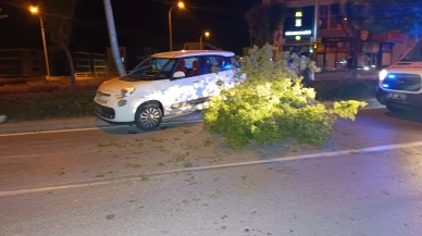 Süratli Otomobil Refüje Daldı: Sürücü Yaralıları Bırakıp Kaçtı