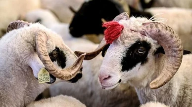 Odunpazarı Belediyesi’nden bayram için ücretsiz ve randevulu hizmet
