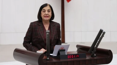 CHP'li Süllü: "İklim kanunu teklifini anlamak istiyorsan Alpu Ovası’na bak!"