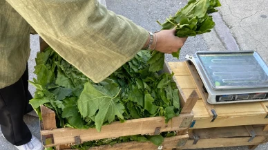 Eskişehir'de zirai don tabaktaki porsiyonları küçülttü