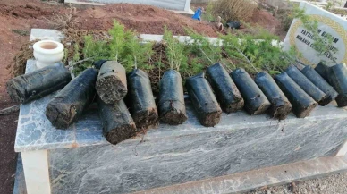 Eskişehir'de Anneler Günü’nde mezarlıkları yeşillendirdiler