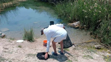 Tarihi hamam kalıntıları arasındaki süs balıklarını kaçak balık avlayanlara suç üstü