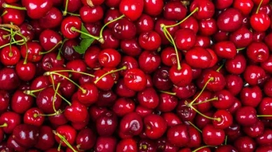 Kiraz El Yakıyor! Eskişehir'de Pazarcı Tadım Yasağı Getirdi