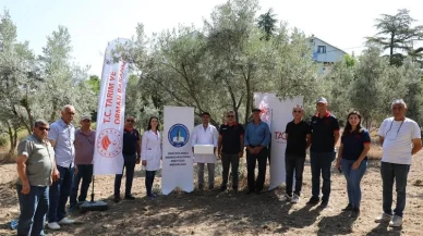 Eskişehir’de Kahverengi Kokarca’ya Karşı Samuray Arısı ile Biyolojik Mücadele