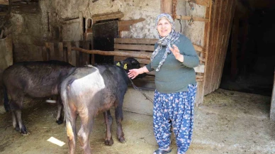 Büyükşehir destekledi üretici kazandı