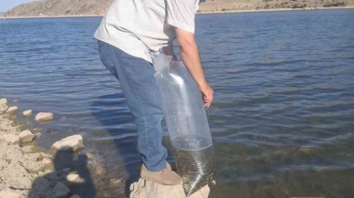 Şuhut’taki Baraj ve Göletlere 85 Bin Yavru Sazan Bırakıldı