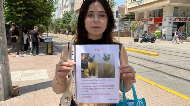 Herkes bayramı kutlarken o sokak sokak kayıp kedisini aradı