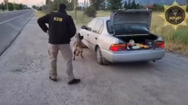 Thor kokladı, polis bastı: 64 bin içimlik bonzai ele geçirildi