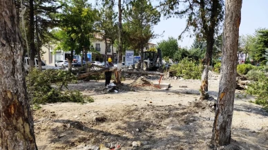 Çifteler'de Ağaç Kesimlerine AK Parti'den Sert Tepki: "Yeşil Kıyımını Kabul Etmiyoruz"