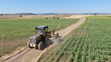 İnönü’de Hasat Öncesi Çiftçiye Yol Desteği
