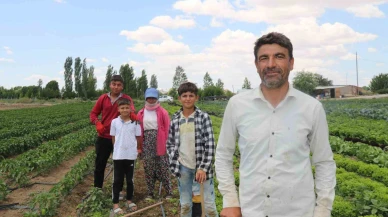"40 Dereceyi Aşan Sıcaklarda Mevsimlik İşçilerin Zorlu Savaşı"