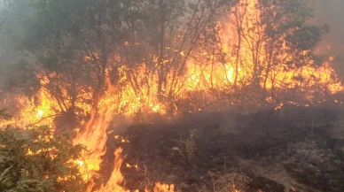 10 Orman Kahramanı Yangında Şehit Oldu: Cenazeler Kırka’ya Getiriliyor