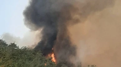 Bilecik’te Alevler Yeniden Yükseldi