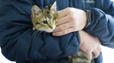 Tepebaşı’nda Binlerce Can Dost Sahiplendirildi