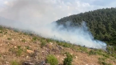 Bilecik’te Aynı Noktada 15 Gün İçinde İkinci Yangın Çıktı