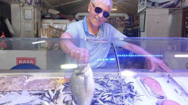 Yazın en lezzetli balıklarında fiyatlar iki katına çıktı!