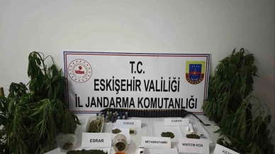 Kenevir bitkisi ekimi yapılan ikamete operasyon düzenledi