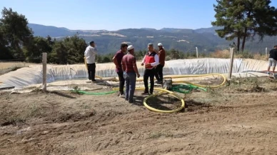 Bilecik’te Yangının Tarıma Faturası Ağır