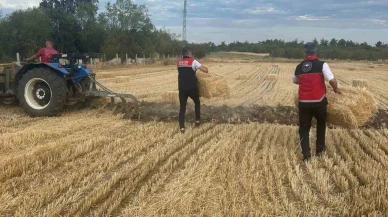 Yangın Sonrası Tarım Desteği: 60 Kişilik Ekip Üreticilere Yardım İçin Seferber Oldu