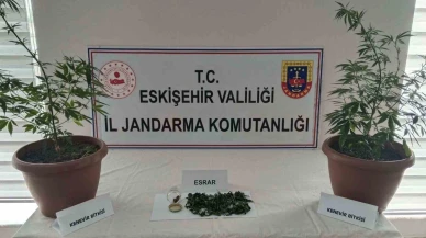 Balkondaki Saksılardan Kenevir ve Esrar Çıktı: Eskişehir’de Bir Şüpheliye Soruşturma