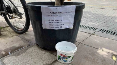 Sokak Hayvanları İçin Kibar Uyarı Notu Dikkat Çekti