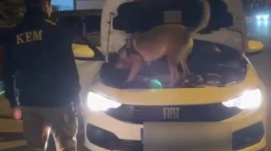 Kütahya’da Zehir Tacirlerine Darbe: 3,5 Kilo Kokain Ele Geçirildi