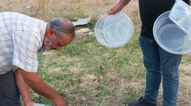 Afyonkarahisar’da Muhtardan Sokak Hayvanlarına Su Desteği