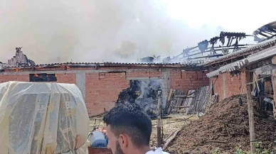 Bilecik’te Samanlık Yangını Paniğe Neden Oldu