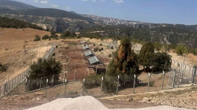 “Sokak Hayvanları Doğal Yaşam Alanı Ruhsat Sorunu Nedeniyle Devredilemedi