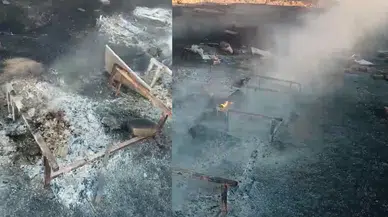 Mahmudiye’de 19 Arı Kovanı Yangında Kül Oldu