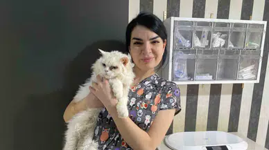 Uzmanından Tatile Çıkacak Evcil Hayvan Sahiplerine Uyarı