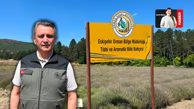 Orman Fidanlığı’nda 20 tür şifalı bitki yetiştiriliyor