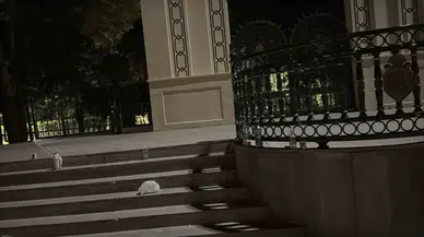 Büyük Park’taki Bıçaklı Kavgada Şüpheli Tutuklandı