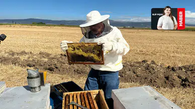 Eskişehirli arıcı bal sezonunu ve mesleğin zorluklarını anlattı