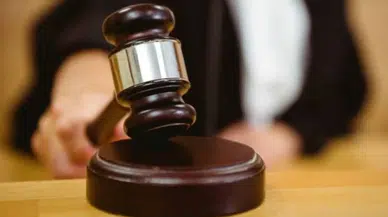 Yargıtay’dan Köpek Saldırısı Kararı: 637 Bin Lira Tazminat