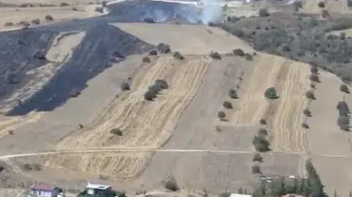 Eskişehir'de Anız Yangını Ekipleri Harekete Geçirdi