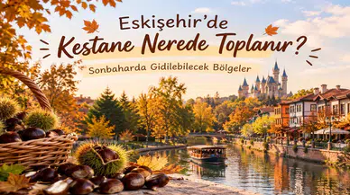 Eskişehir’de Kestane Nerede Toplanır? Sonbaharda Gidilebilecek Bölgeler