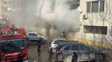 Kediler Üşümesin Diye Açılan Isıtıcı Yangına Neden Oldu