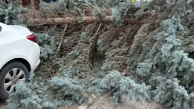 Eskişehir’de Fırtına Sebebiyle Kent Hayatı Olumsuz Etkileniyor