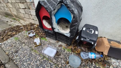 Şirintepe’de Sokak Hayvanları İçin Yürek Isıtan Dayanışma